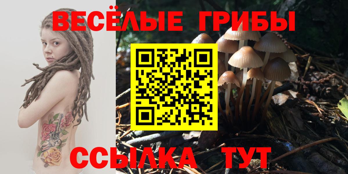 Псилоцибиновые грибы Magic Shrooms  цена наркотик  Абакан  Вход с VPN 